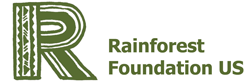 Studio Mao corporate Rainforest Foundation